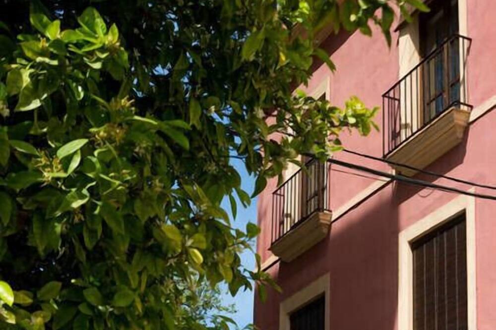 Photo of Outdoor in San Lorenzo
