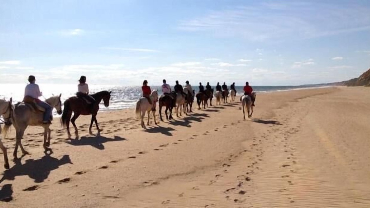 Photo of Others in El Rocio