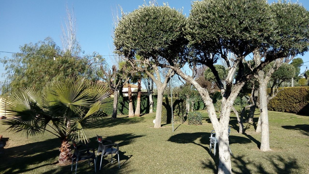 Photo of Outdoor in Santaella