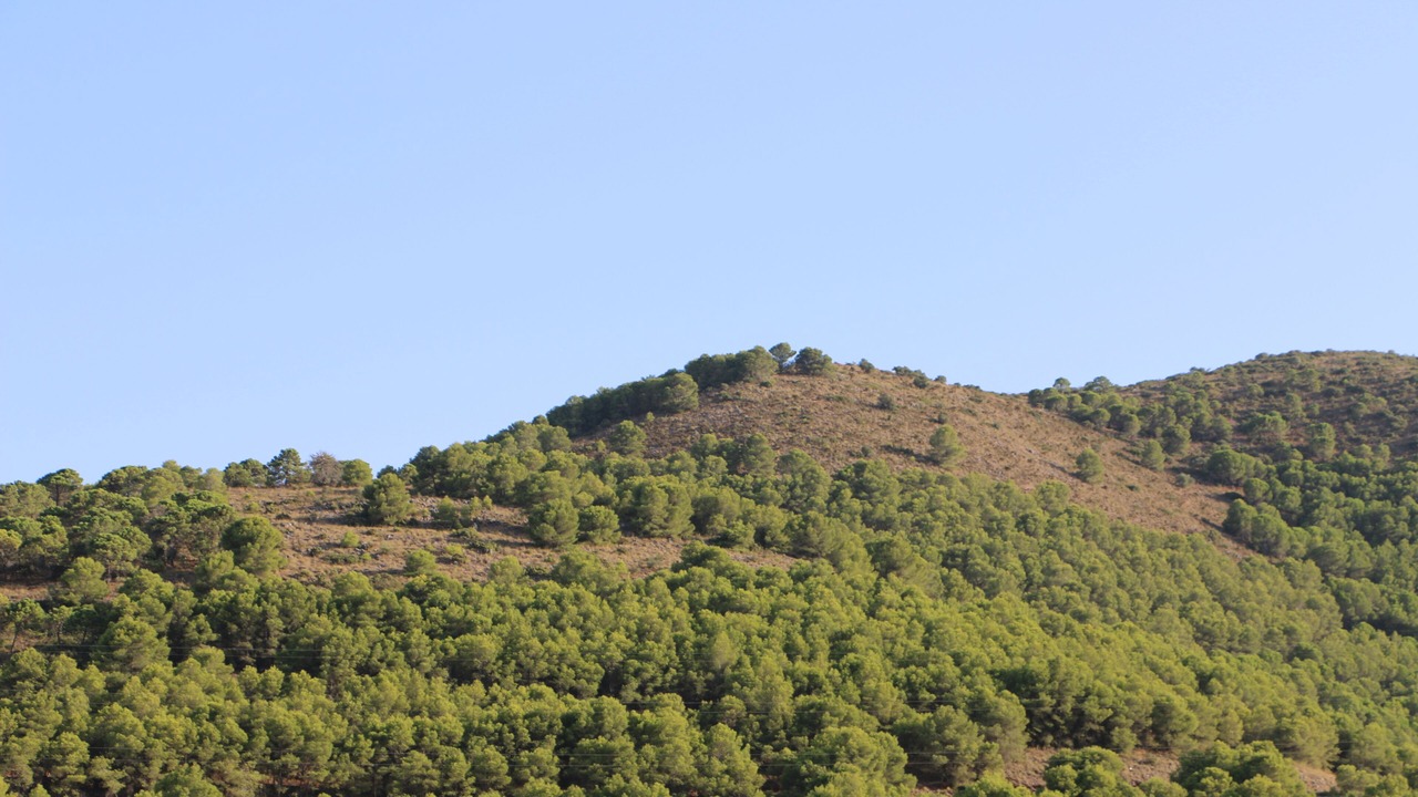 Photo of Others in Pinos de Alhaurin