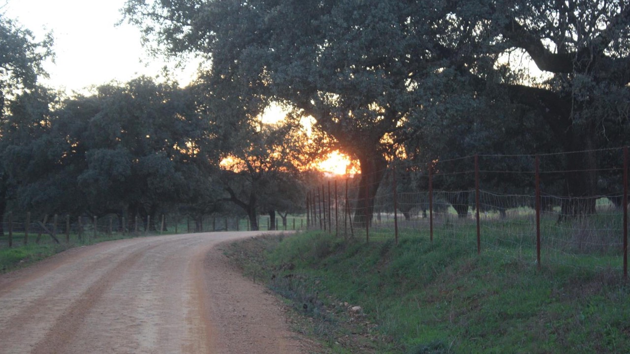 Photo of Outdoor in La Puebla de los Infantes