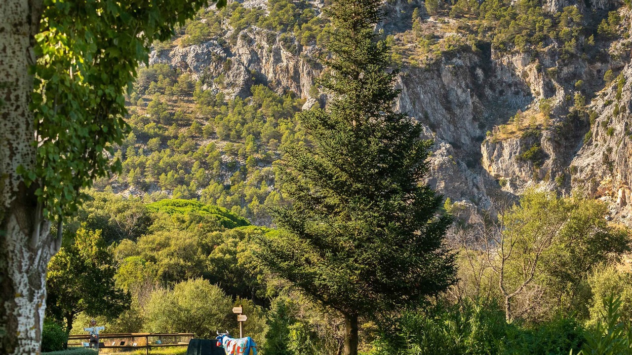 Photo of Others in Grazalema