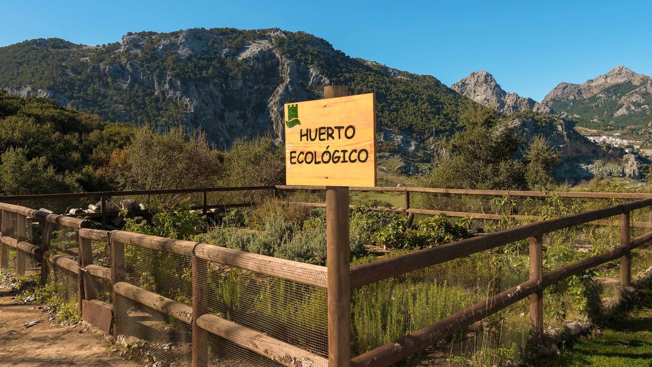 Photo of Outdoor in Grazalema