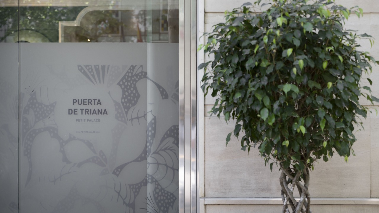 Photo of Outdoor in Museo