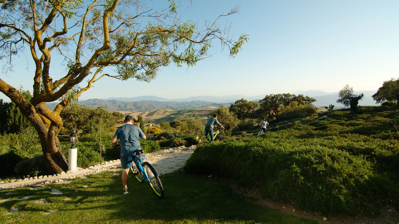 Photo of Outdoor in La Joya