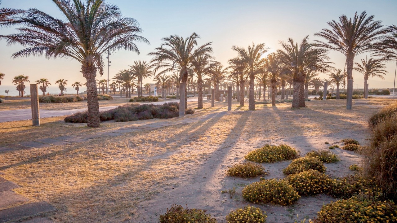 Photo of Outdoor in Retamar
