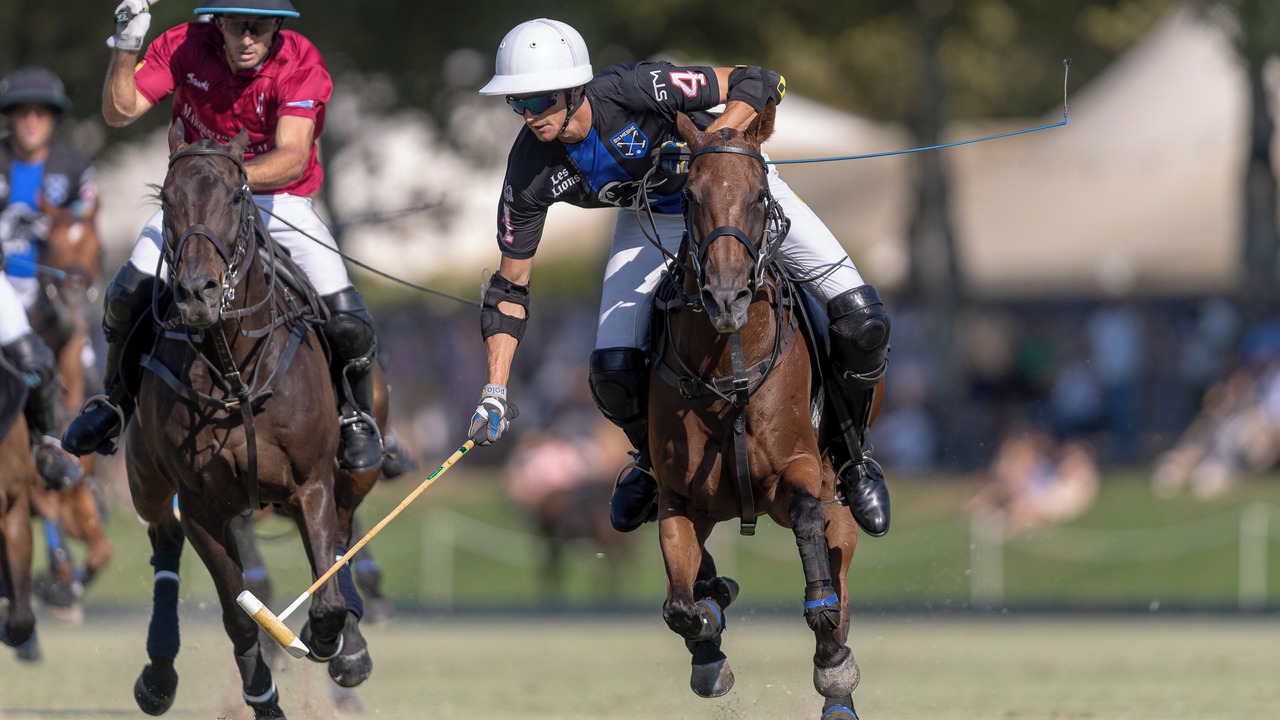 Photo of Others in Sotogrande