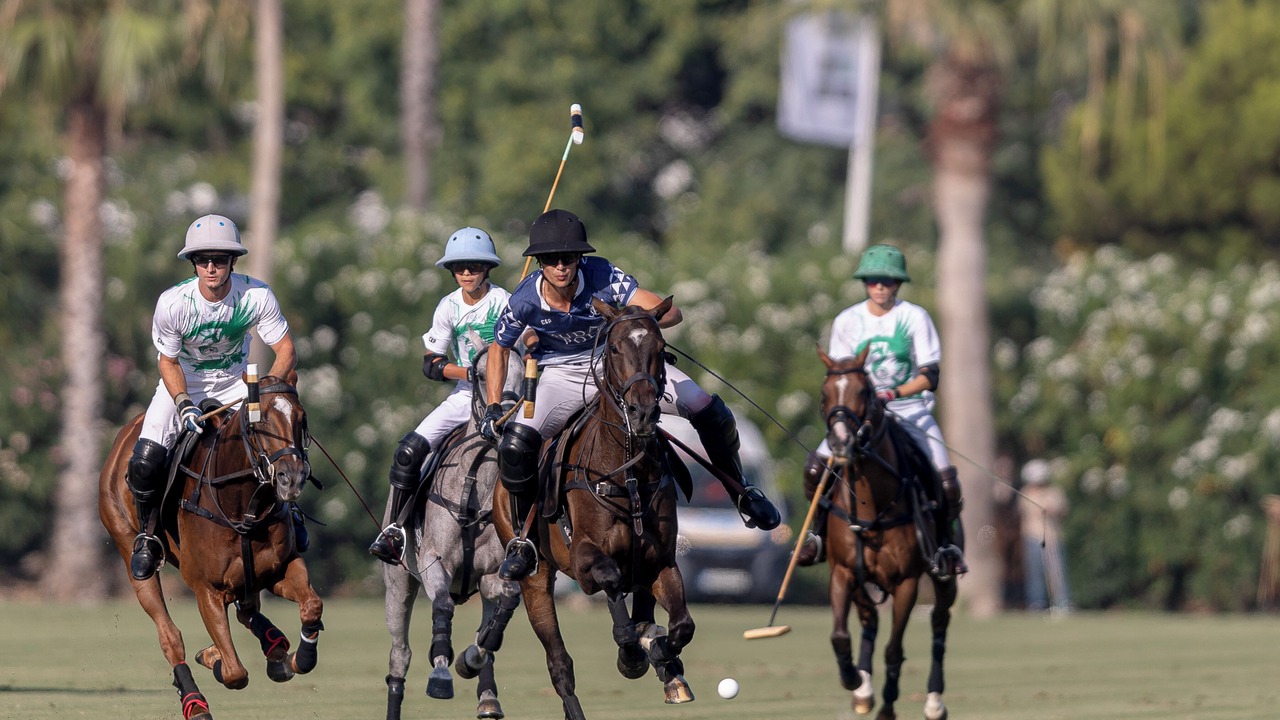 Photo of Others in Sotogrande