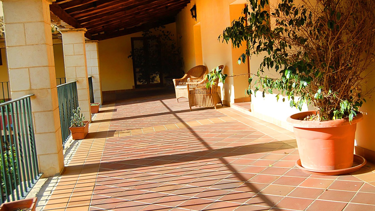 Photo of Outdoor in El Puerto de Santa Maria