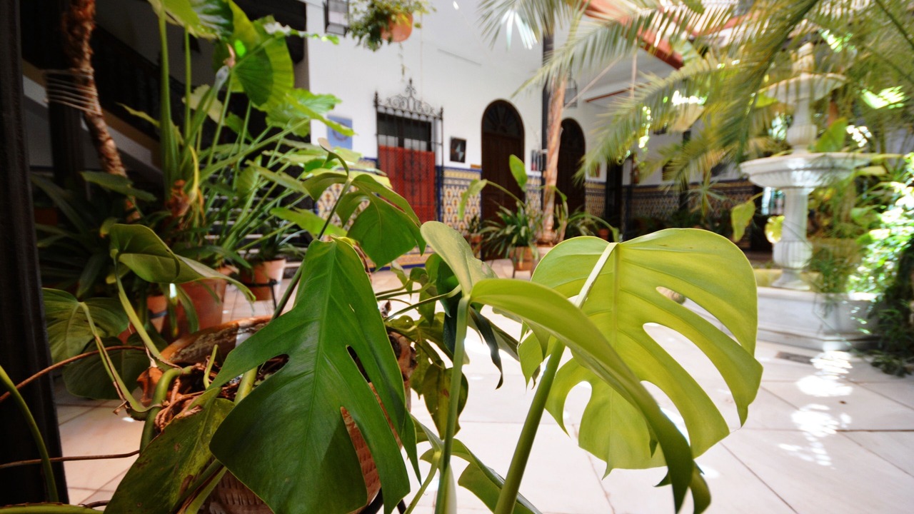 Photo of Others in Distrito Centro