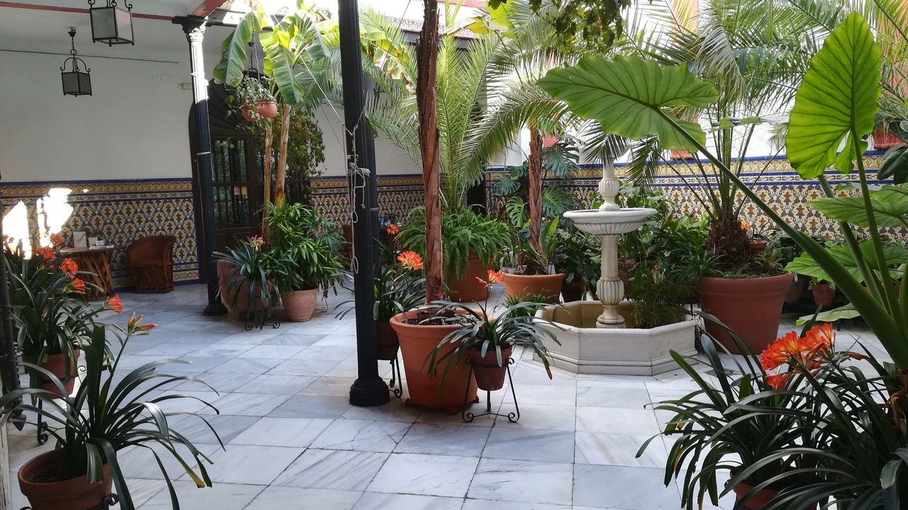 Photo of Outdoor in Distrito Centro