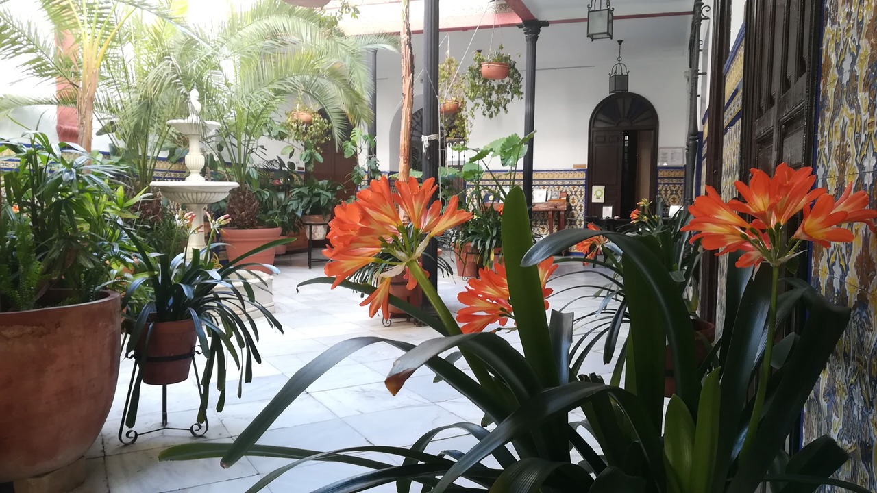 Photo of Outdoor in Distrito Centro