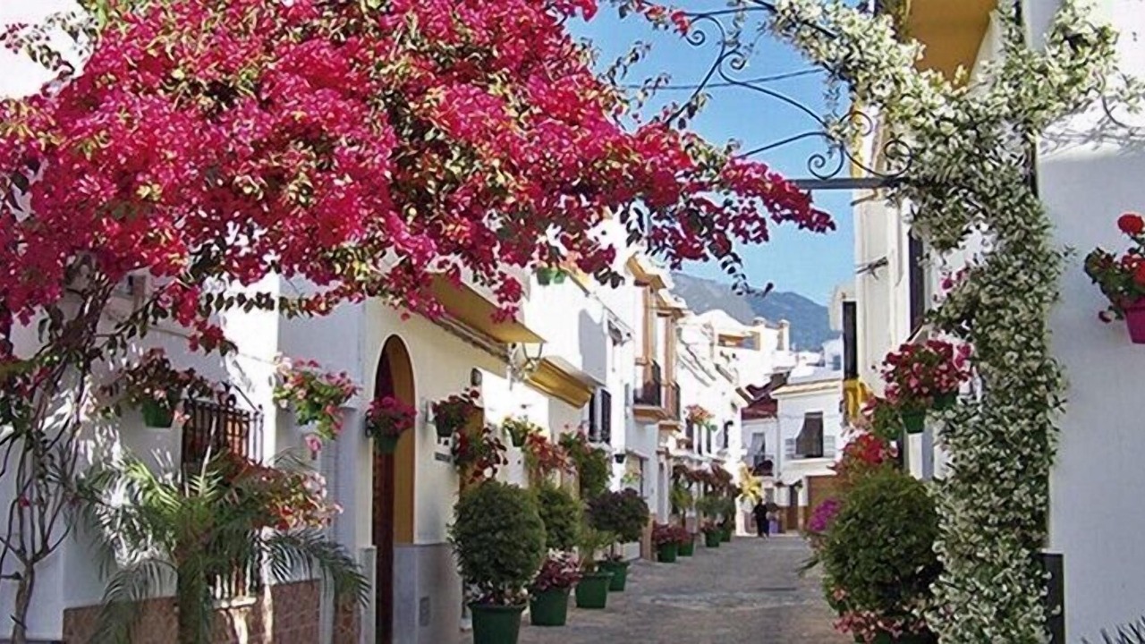 Photo of Others in Estepona