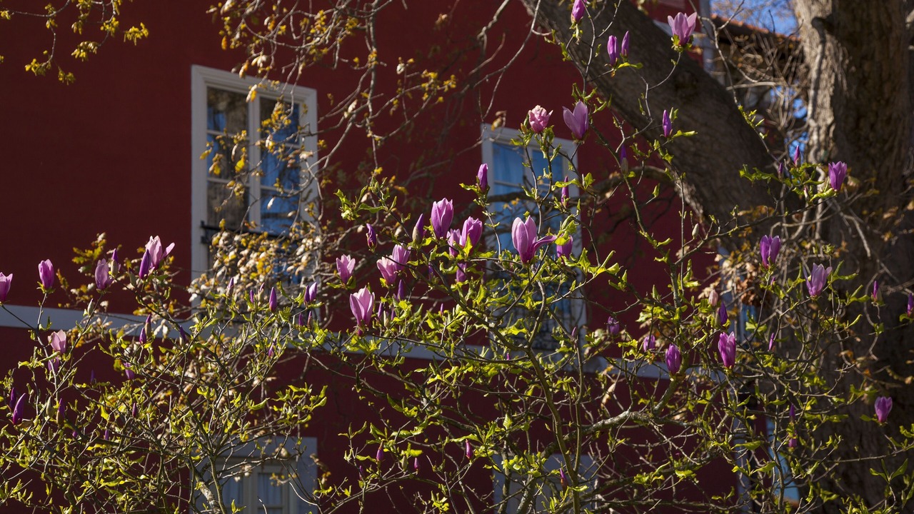 Photo of Outdoor in Aronces