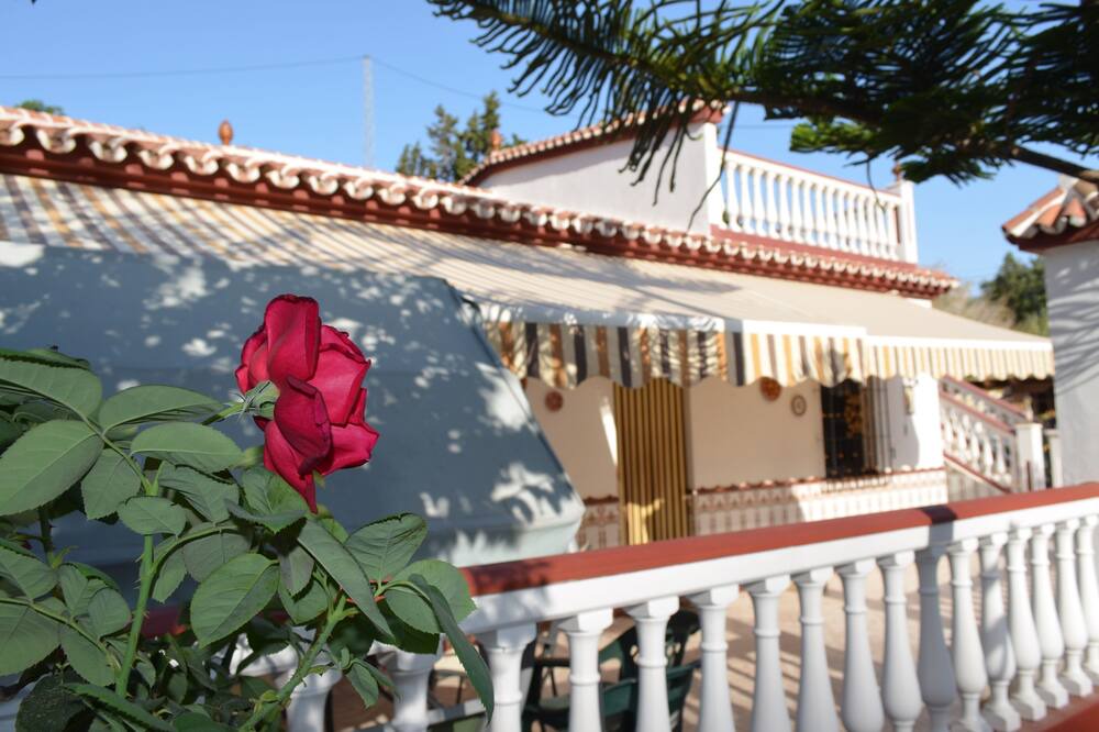Photo of Outdoor in Almayate Bajo