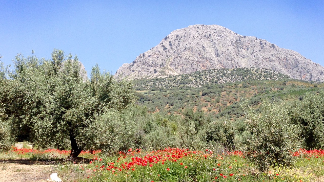 Photo of Outdoor in Alcaucin