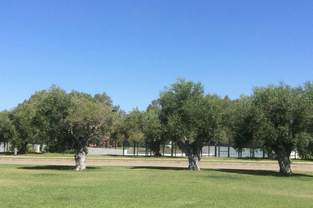 Photo of Outdoor in Arcos de la Frontera