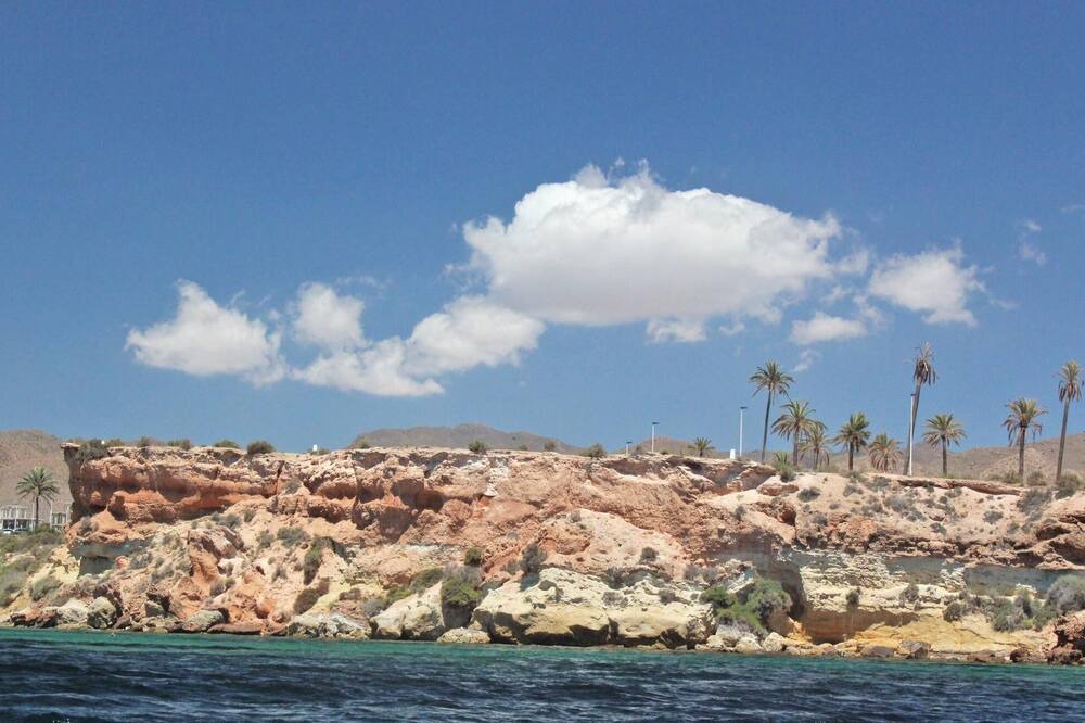 Photo of Others in Isla Plana