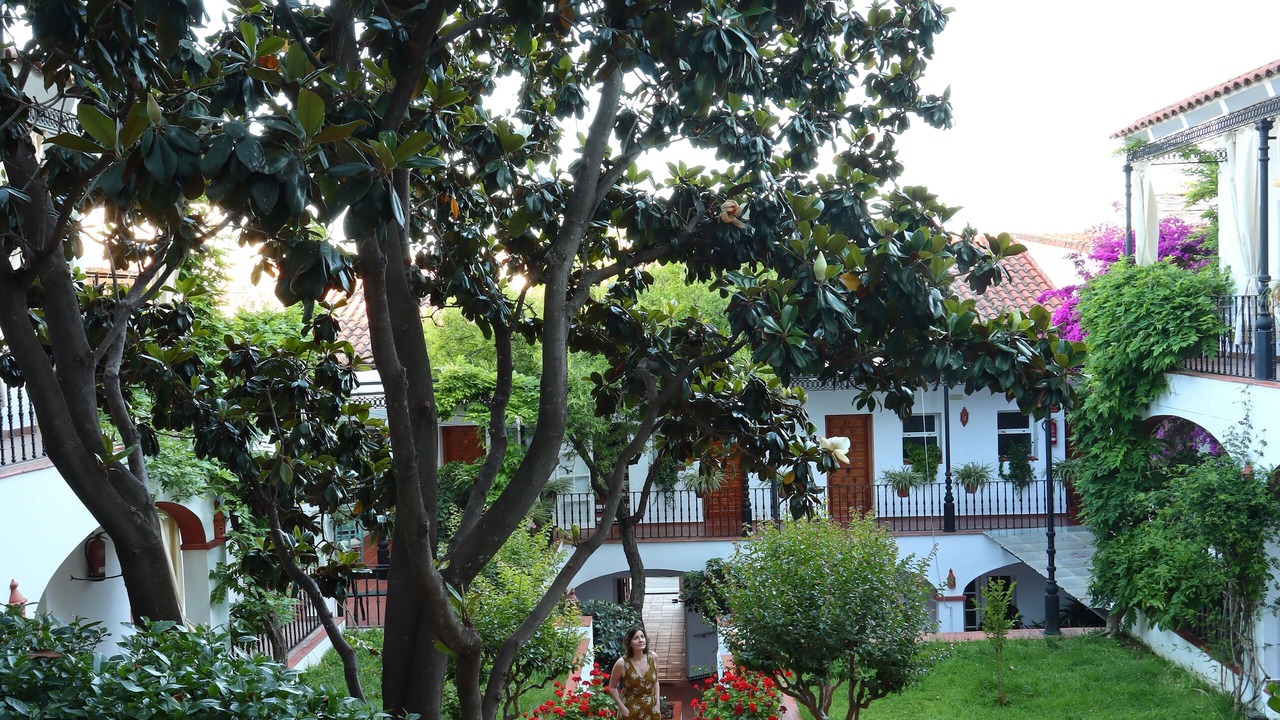 Photo of Outdoor in Alange