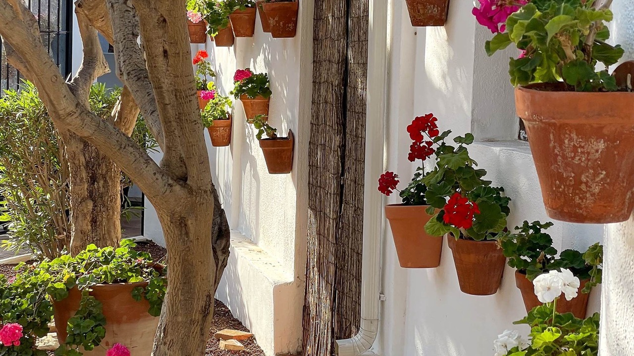 Photo of Outdoor in Mojacar