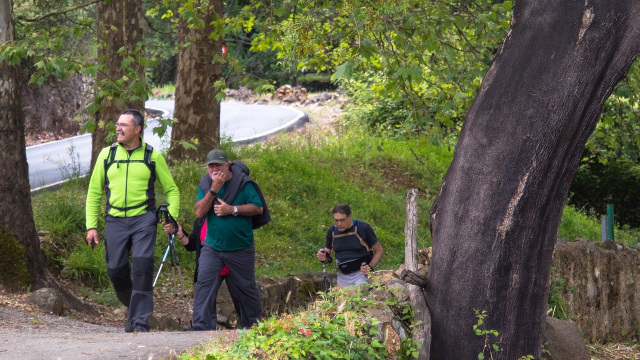 Photo of Outdoor in Jabugo
