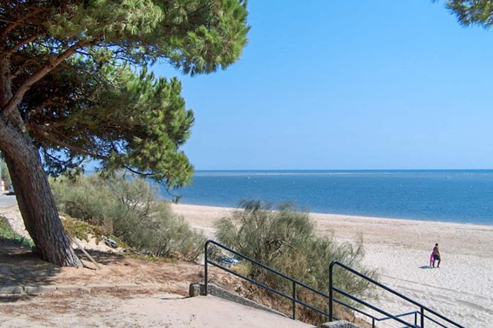Photo of Others in Nuevo Portil