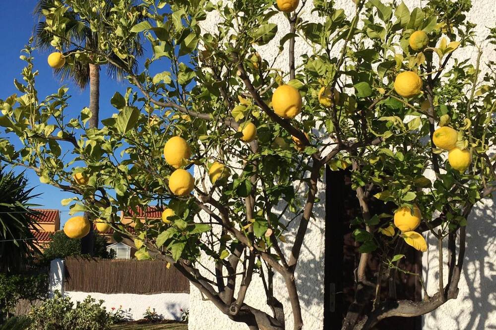Photo of Outdoor in Benajarafe
