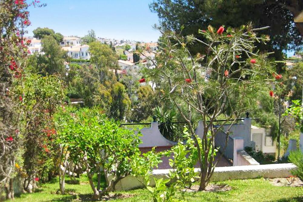 Photo of Outdoor in Benajarafe
