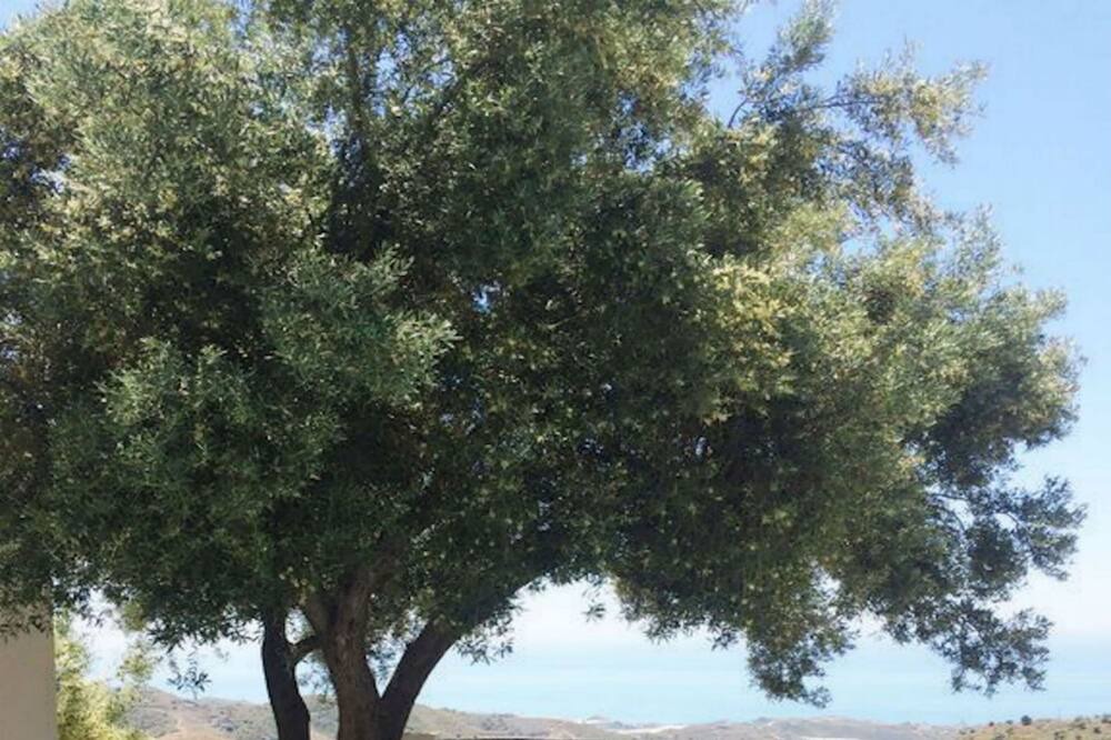 Photo of Outdoor in Sayalonga