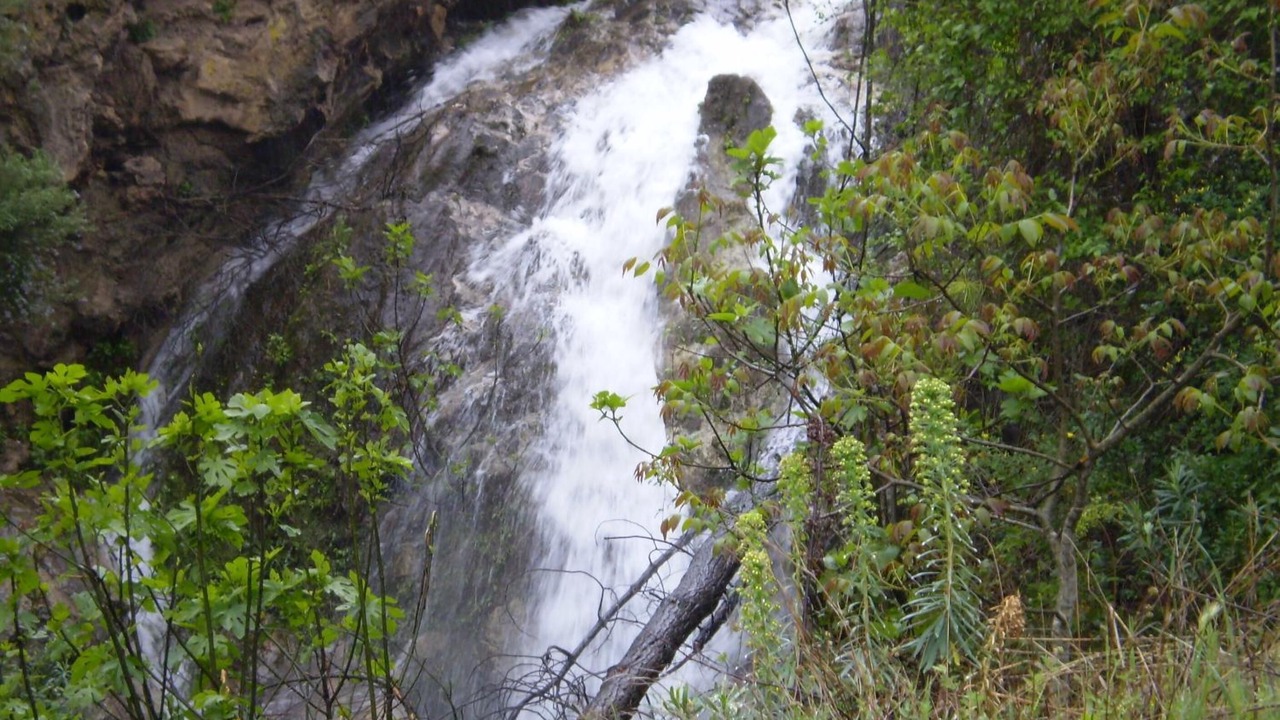 Photo of Outdoor in Villanueva del Arzobispo