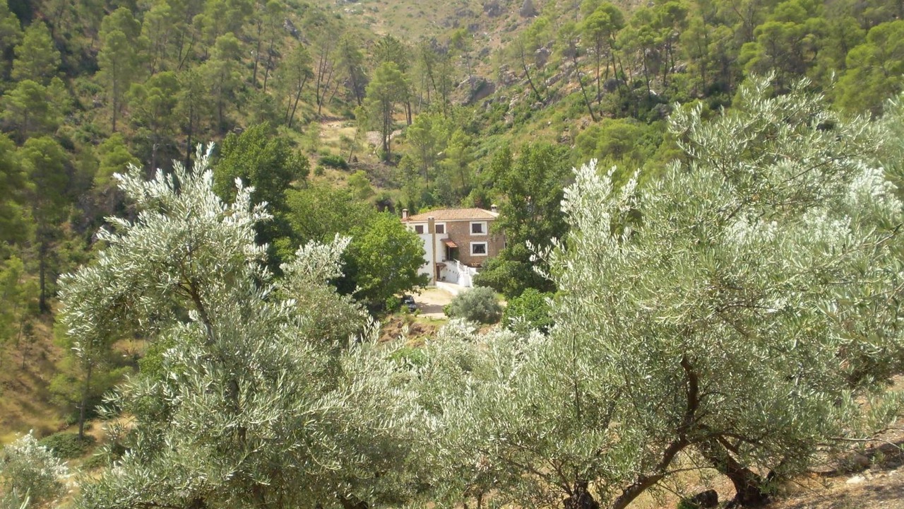 Photo of Outdoor in Villanueva del Arzobispo