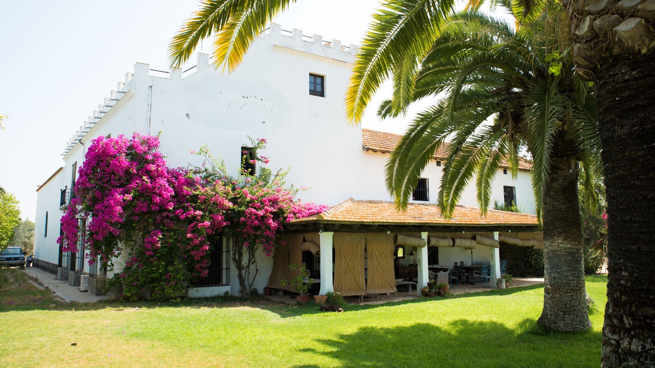 Photo of Outdoor in Utrera