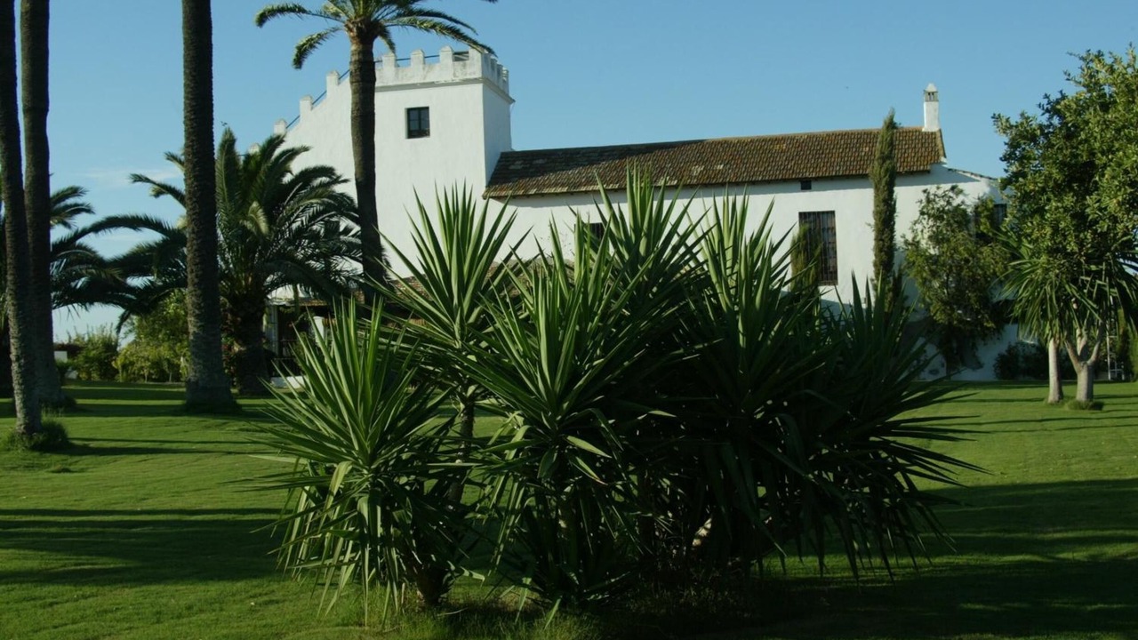 Photo of Outdoor in Utrera