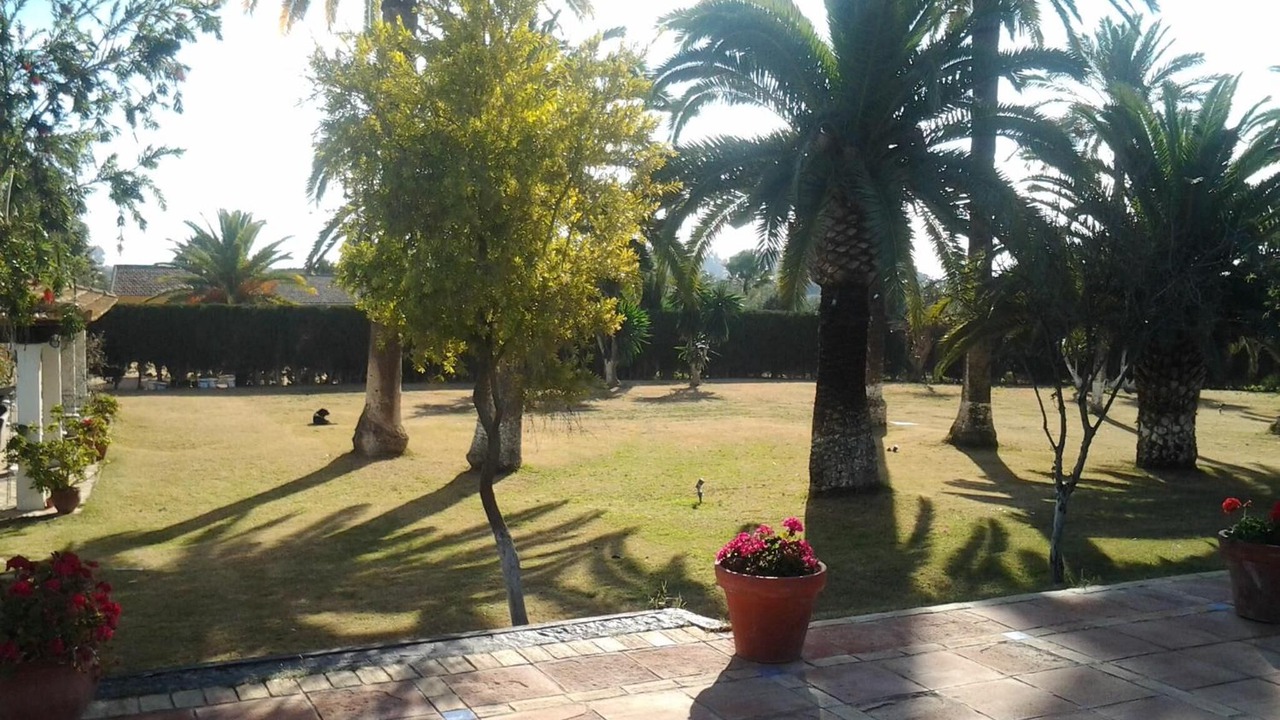 Photo of Outdoor in Utrera