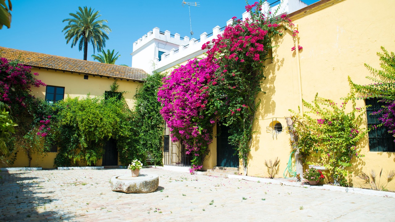 Photo of Patio Balcony in Utrera