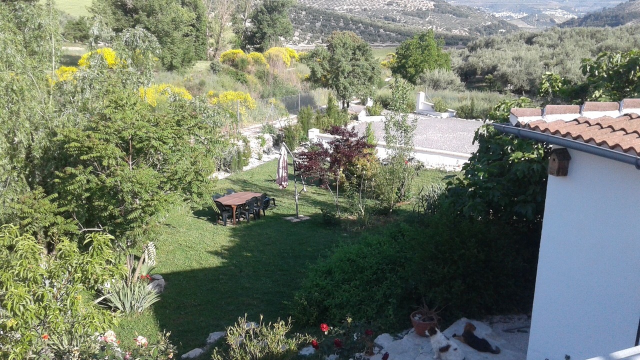 Photo of Outdoor in Montefrio