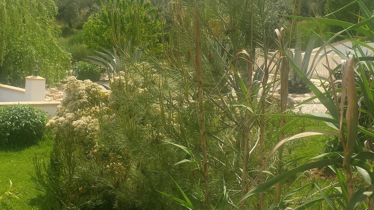 Photo of Outdoor in Montefrio