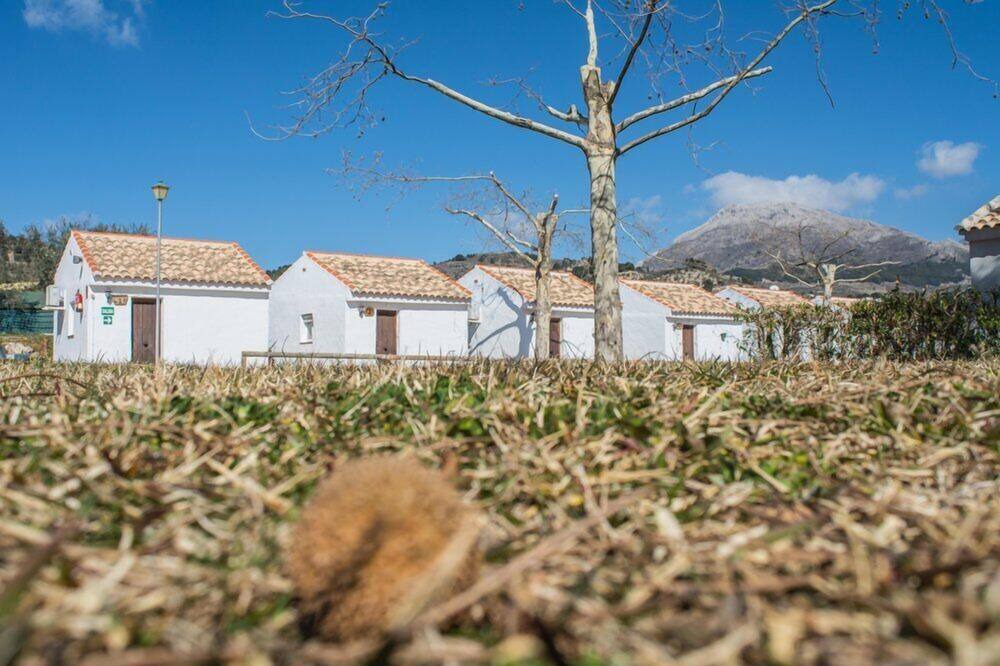 Photo of Outdoor in Yunquera