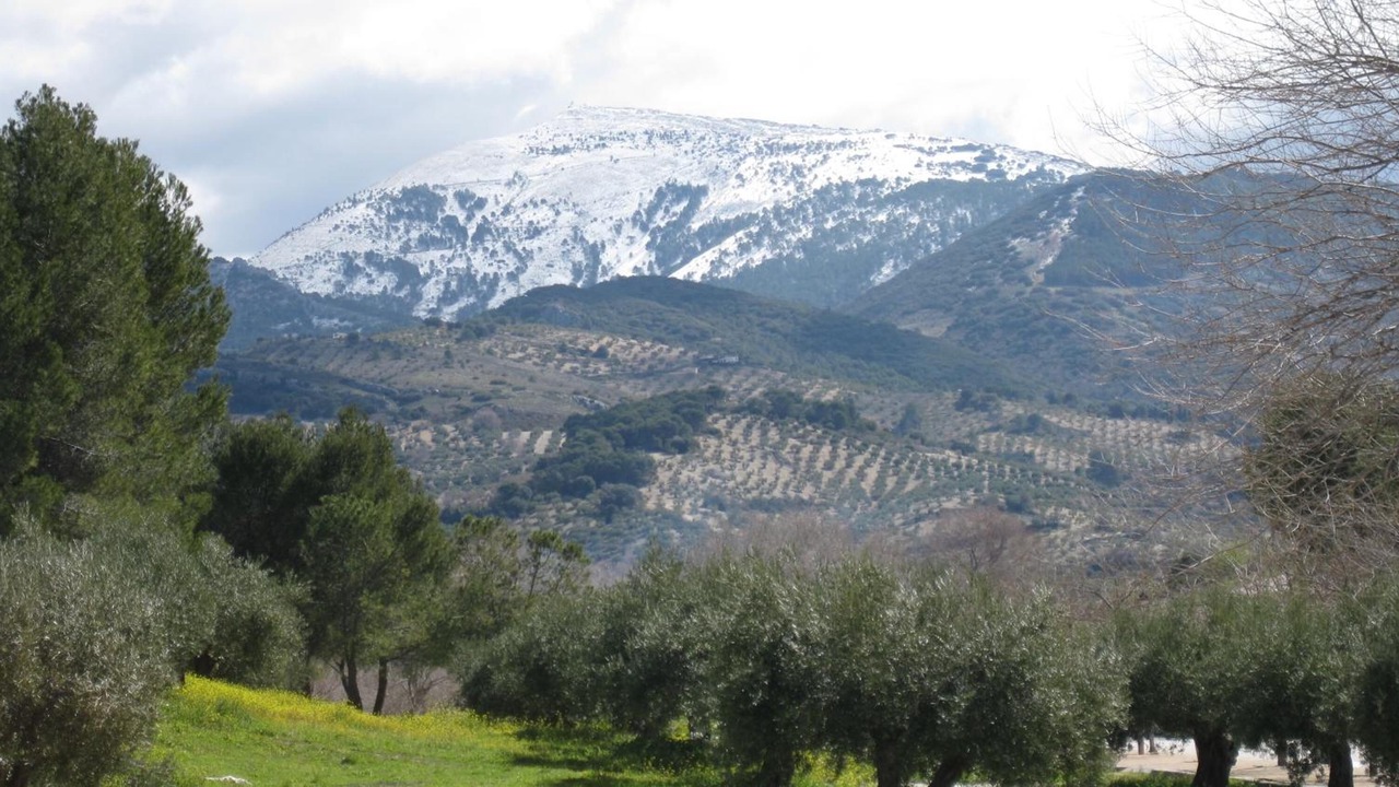 Photo of Outdoor in Torre del Campo