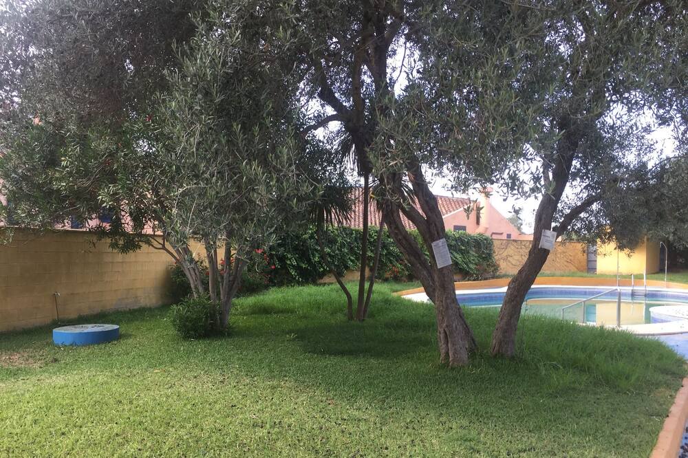 Photo of Outdoor in Valencina de la Concepcion