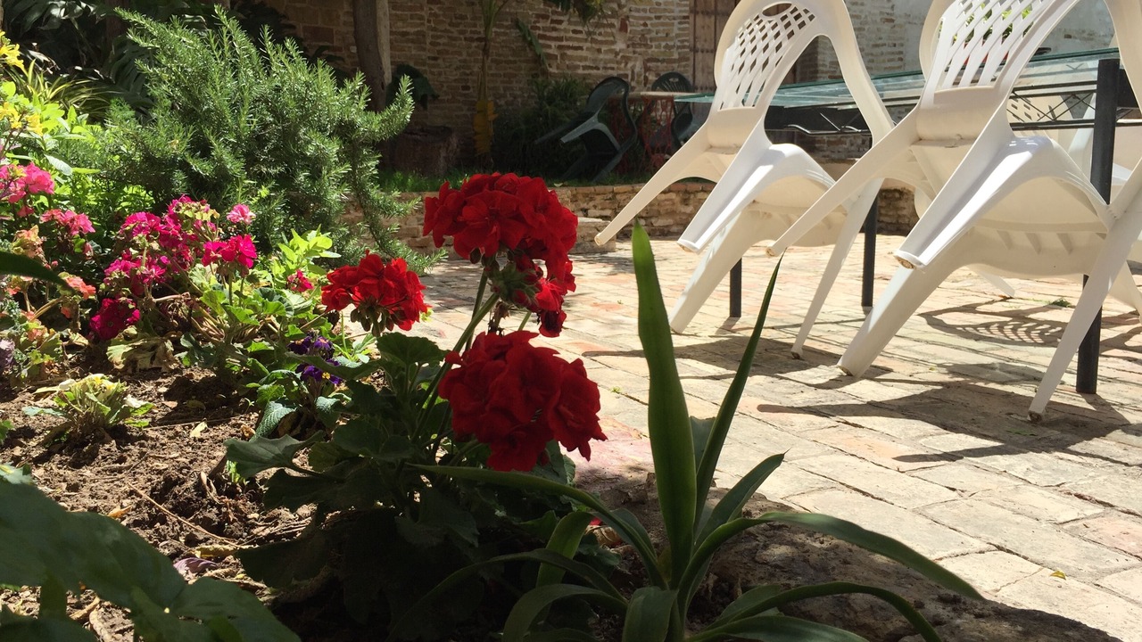 Photo of Outdoor in Gines