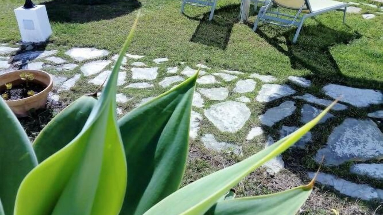 Photo of Outdoor in Benalup-Casas Vieja