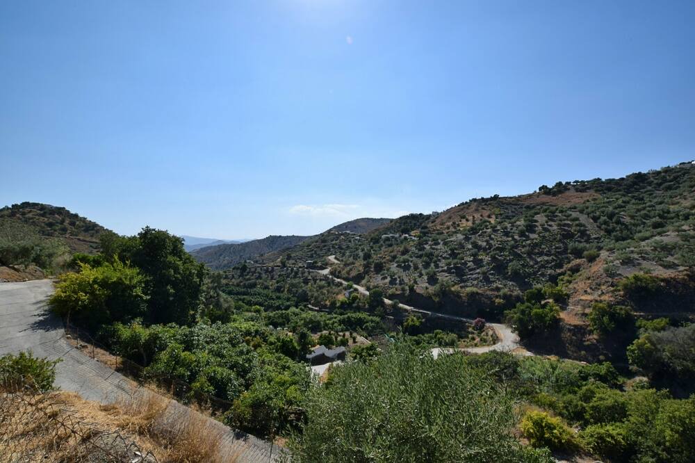 Photo of Others in Canillas de Aceituno