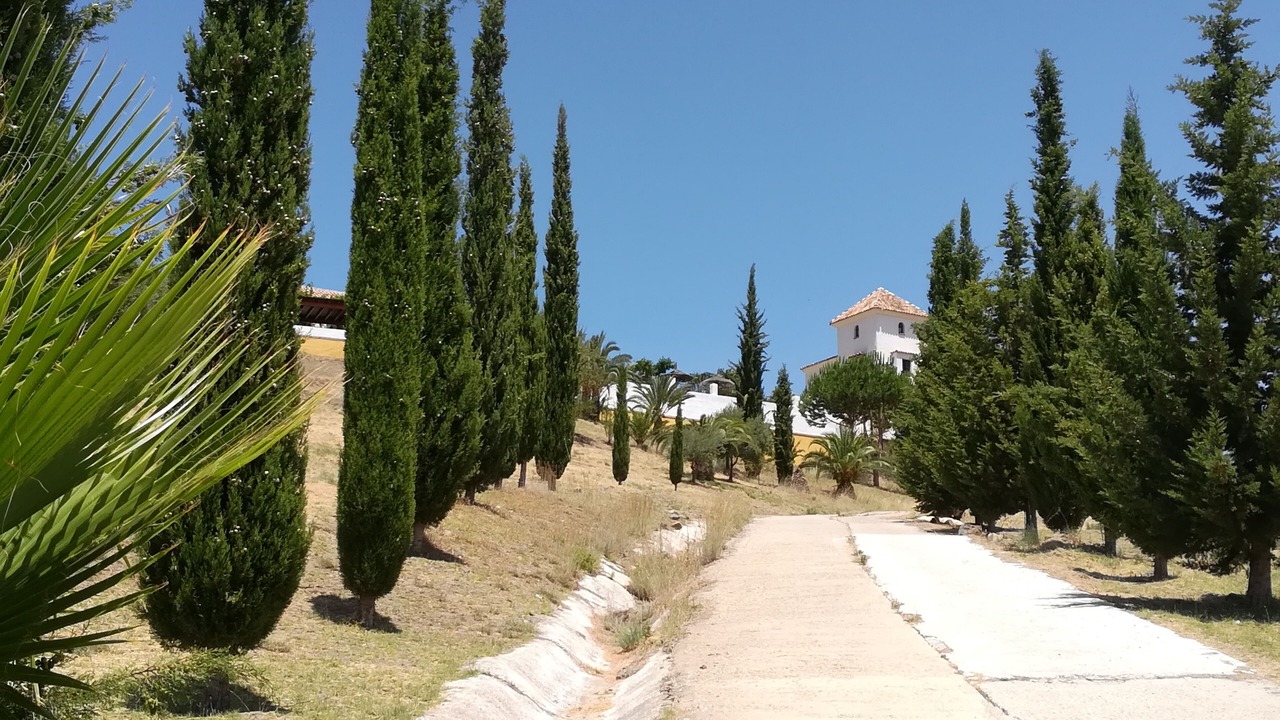 Photo of Outdoor in Alozaina