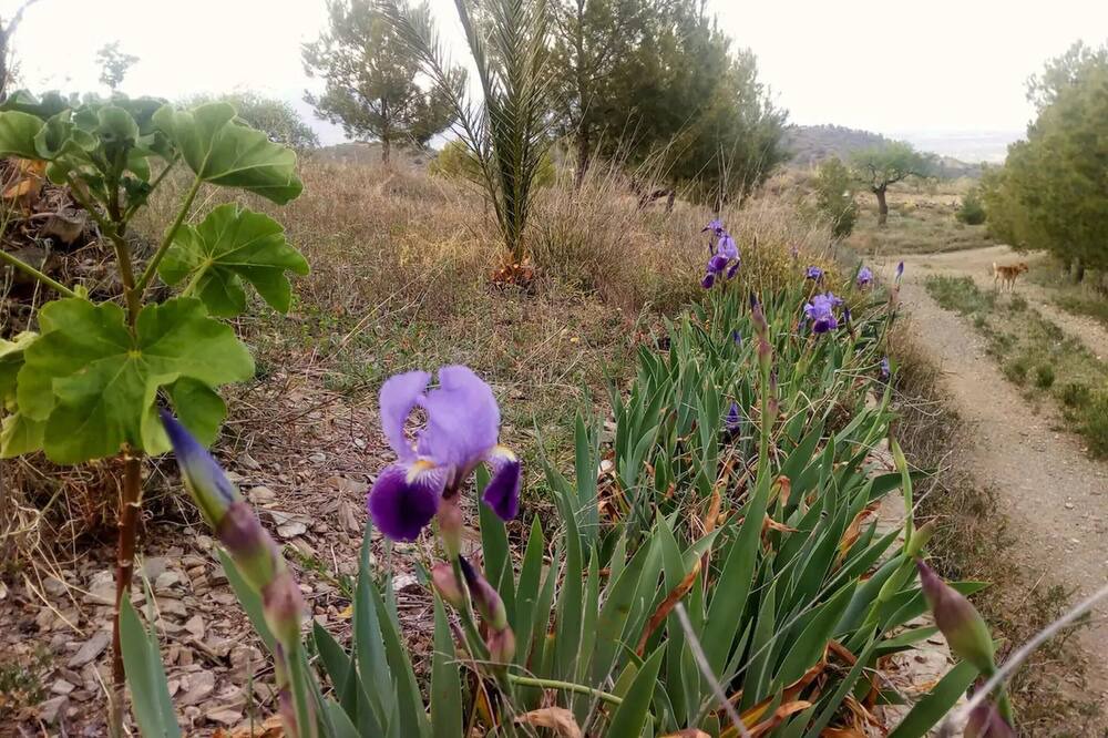Photo of Outdoor in Lorca