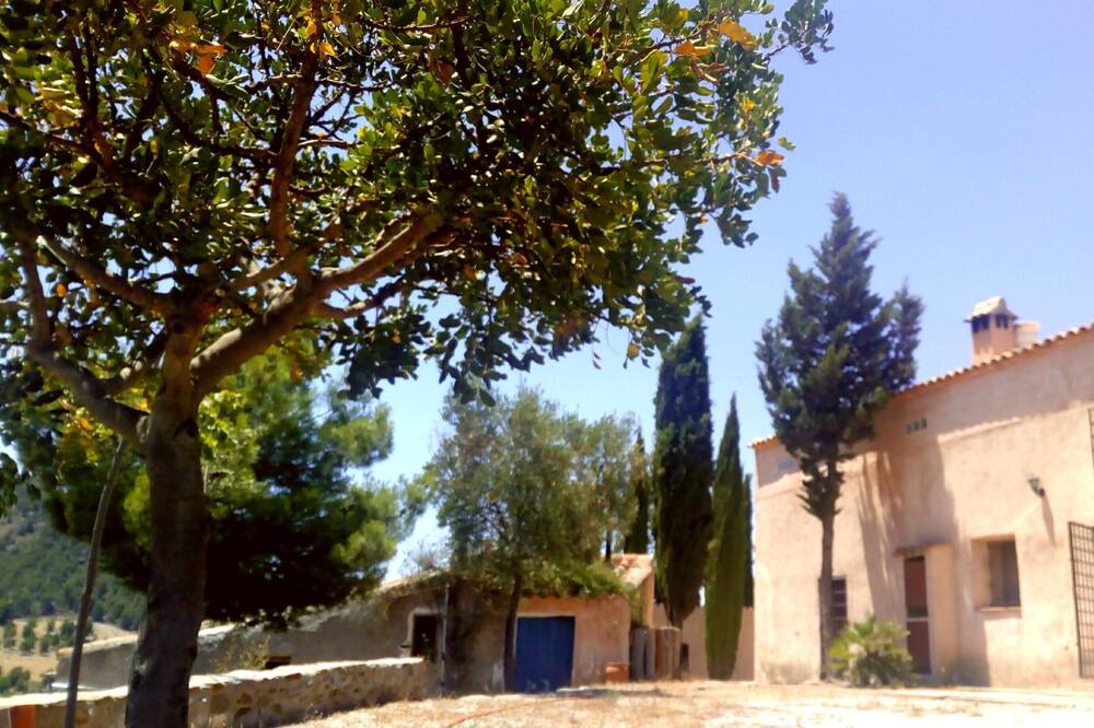 Photo of Others in Lorca