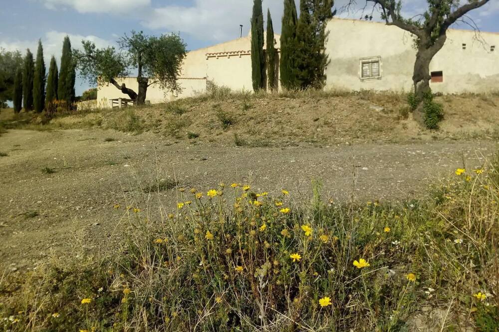 Photo of Others in Lorca