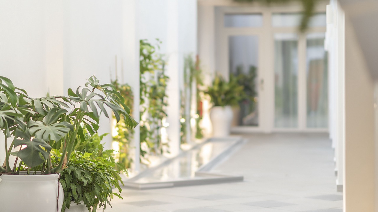 Photo of Outdoor in Conil de la Frontera City Center