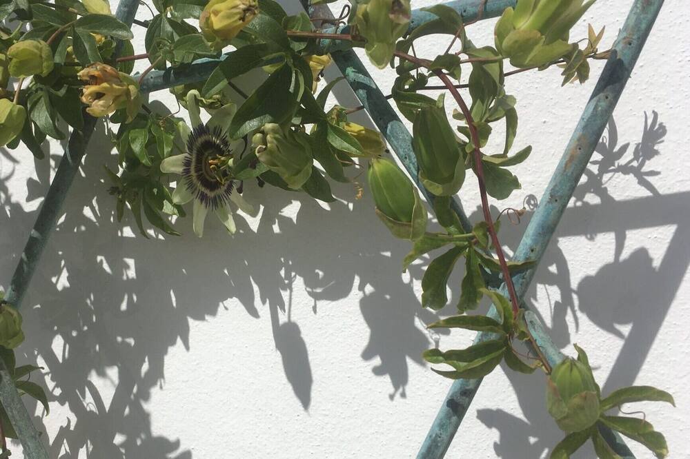 Photo of Outdoor in Moclin