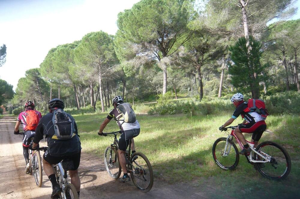 Photo of Others in Bollullos de la Mitacion